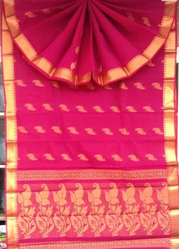 PL BIG BUTTA SAREE